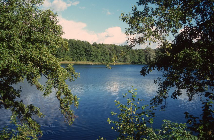 Feldberger Seenlandschaft. Schmaler Luzin
1996. Feldberger Seenlandschaft. Schmaler Luzin
Schlüsselwörter: Feldberger Seenlandschaft;Mecklenburg-Vorpommern;1996;Schmaler Luzin
