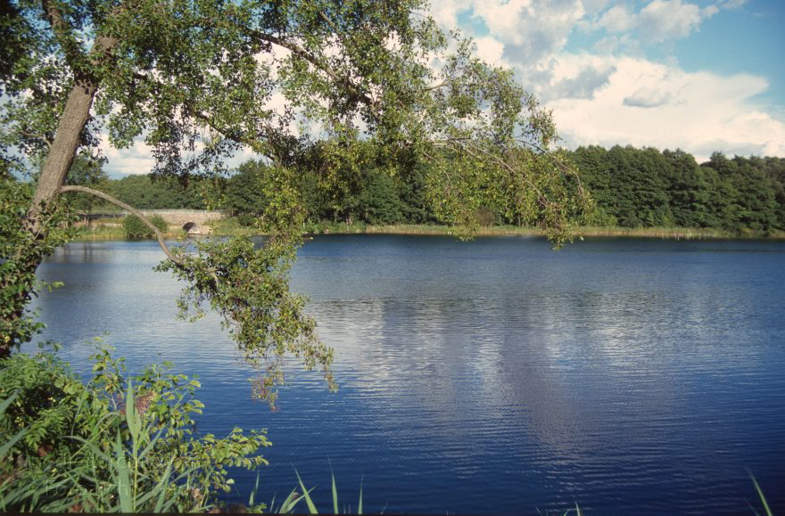 Feldberger Seenlandschaft. Schmaler Luzin
1996. Feldberger Seenlandschaft. Schmaler Luzin
Schlüsselwörter: Feldberger Seenlandschaft;Mecklenburg-Vorpommern;1996;Schmaler Luzin