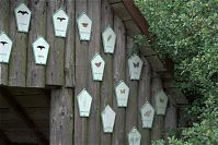 Dateiname=Mecklenburg-Vorpommern-Fs-Hullerbusch-20090609-064.jpg
Dateigröße=249KB
Abmessungen: 880x587
hinzugefügt am: 02. Januar 2016 Mecklenburg-Vorpommern-Fs-Hullerbusch-20090609-064.jpg