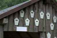 Dateiname=Mecklenburg-Vorpommern-Fs-Hullerbusch-20090609-065.jpg
Dateigröße=199KB
Abmessungen: 880x587
hinzugefügt am: 02. Januar 2016 Mecklenburg-Vorpommern-Fs-Hullerbusch-20090609-065.jpg