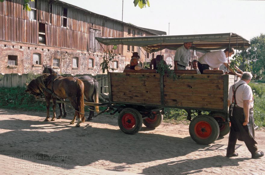 Laeven. Pfingsten.
Mai 1995. Pfingsten. Mecklenburg-Vorpommern. Feldberger Seenlandschaft. Laeven. Bei Willi Schmidt. Pferdekutsche
Schlüsselwörter: Deutschland;Feldberger Seenlandschaft;Germany;Laeven;Mecklenburg-Vorpommern;Pferdekutsche;Pfingsten;1995;Pfingsttour