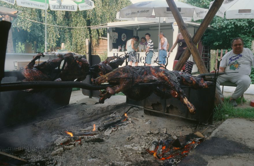 Feldberger Seenlandschaft. Laeven. Wildschwein am Spieß
1995. Mecklenburg-Vorpommern. Feldberger Seenlandschaft. Laeven. Grillen bei Willi Schmidt.Wildschwein am Spieß
Schlüsselwörter: Deutschland;Feldberger Seenlandschaft;Germany;Grillen;Laeven;Mecklenburg-Vorpommern;1995;Wildschwein