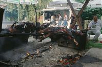 Dateiname=Mecklenburg-Vorpommern-Fs-Laeven-199507-293.jpg
Dateigröße=231KB
Abmessungen: 880x578
hinzugefügt am: 02. Januar 2016 Mecklenburg-Vorpommern-Fs-Laeven-199507-293.jpg