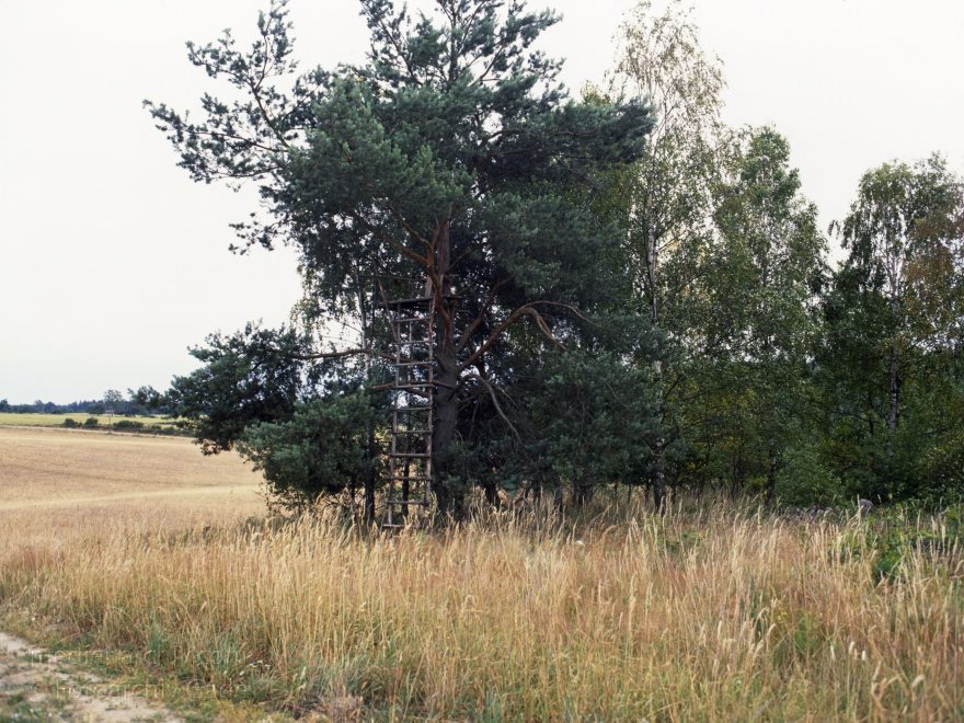 Brandenburg. Feldberger Seenlandschaft. Felder bei Thomsdorf
Juli 1992. Brandenburg. Mecklenburg-Vorpommern. Feldberger Seenlandschaft. Felder bei Thomsdorf
Schlüsselwörter: Brandenburg;Deutschland;Feld;Feldberger Seenlandschaft;Felder;Germany;Mecklenburg-Vorpommern;1992;Wiesen