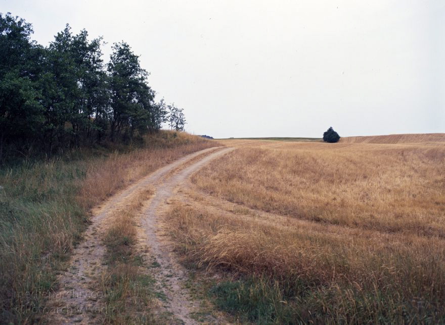 Brandenburg. Feldberger Seenlandschaft. Felder bei Thomsdorf
Juli 1992. Brandenburg. Mecklenburg-Vorpommern. Feldberger Seenlandschaft. Felder bei Thomsdorf
Schlüsselwörter: Brandenburg;Deutschland;Feld;Feldberger Seenlandschaft;Felder;Germany;Mecklenburg-Vorpommern;1992;Wiesen
