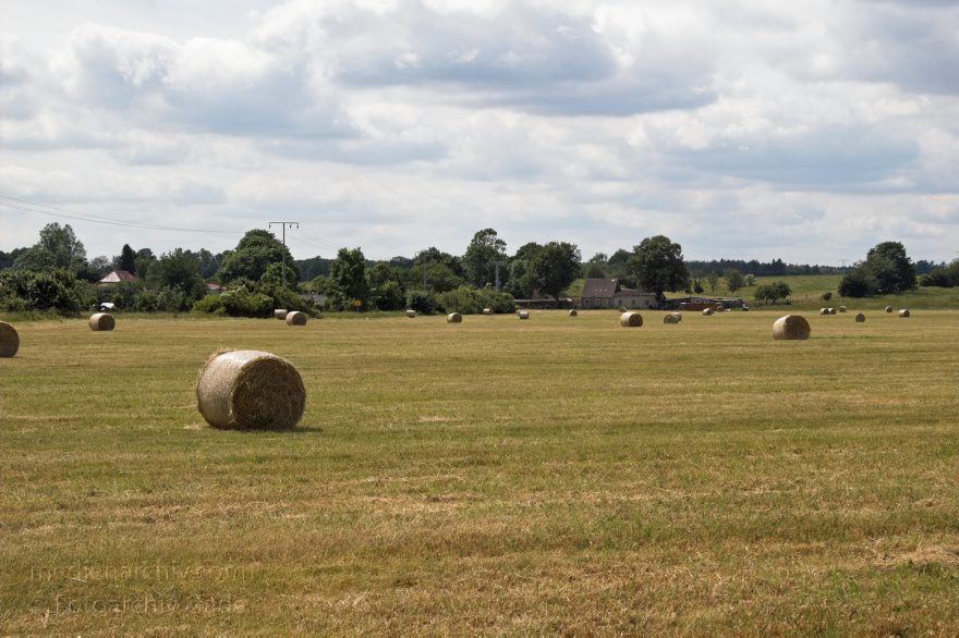 Heuballen auf einem Feld bei Carwitz.
22. Juni 2005. Mecklenburg-Vorpommern. Heuballen auf einem Feld bei Carwitz. Heurollen.
Schlüsselwörter: Carwitz;Deutschland;Feld;Feldberger Seenlandschaft;Germany;Heuballen;2005;Mecklenburg-Vorpommern