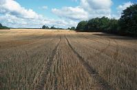 Dateiname=Brandenburg-Uckermark-Felder-1995-11.jpg
Dateigröße=230KB
Abmessungen: 880x579
hinzugefügt am: 02. Januar 2016 Brandenburg-Uckermark-Felder-1995-11.jpg