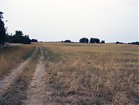 Dateiname=Brandenburg-Uckermark-Felder-199608-046.jpg
Dateigröße=218KB
Abmessungen: 880x661
hinzugefügt am: 02. Januar 2016 Brandenburg-Uckermark-Felder-199608-046.jpg