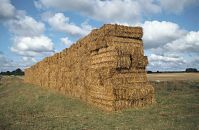 Dateiname=Brandenburg-Uckermark-Felder-199608-13.jpg
Dateigröße=219KB
Abmessungen: 880x573
hinzugefügt am: 02. Januar 2016 Brandenburg-Uckermark-Felder-199608-13.jpg