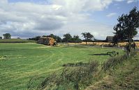 Dateiname=Brandenburg-Uckermark-Felder-199608-17.jpg
Dateigröße=219KB
Abmessungen: 880x574
hinzugefügt am: 02. Januar 2016 Brandenburg-Uckermark-Felder-199608-17.jpg