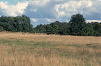 Dateiname=Brandenburg-Uckermark-Land-199608-104.jpg
Dateigröße=209KB
Abmessungen: 880x579
hinzugefügt am: 02. Januar 2016 Brandenburg-Uckermark-Land-199608-104.jpg