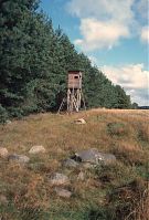 Brandenburg-Uckermark-Land-199608-105.jpg