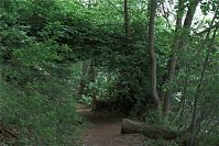 Dateiname=Mecklenburg-Vorpommern-Fs-20090610-036.jpg
Dateigröße=338KB
Abmessungen: 880x587
hinzugefügt am: 02. Januar 2016 Mecklenburg-Vorpommern-Fs-20090610-036.jpg