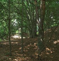 Dateiname=Mecklenburg-Vorpommern-Fs-20090610-038.jpg
Dateigröße=487KB
Abmessungen: 853x880
hinzugefügt am: 02. Januar 2016 Mecklenburg-Vorpommern-Fs-20090610-038.jpg