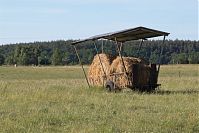 Mecklenburg-Vorpommern-Fs-Carwitz-20050620-427.jpg
