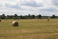 Mecklenburg-Vorpommern-Fs-Heu-20050620-32.jpg