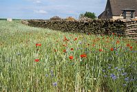 Dateiname=Mecklenburg-Vorpommern-Fs-Neuhof-20080606-100.jpg
Dateigröße=400KB
Abmessungen: 880x591
hinzugefügt am: 02. Januar 2016 Mecklenburg-Vorpommern-Fs-Neuhof-20080606-100.jpg