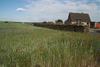 Dateiname=Mecklenburg-Vorpommern-Fs-Neuhof-20080606-97.jpg
Dateigröße=272KB
Abmessungen: 880x591
hinzugefügt am: 02. Januar 2016 Mecklenburg-Vorpommern-Fs-Neuhof-20080606-97.jpg