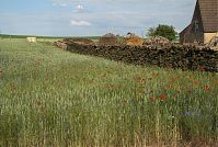 Dateiname=Mecklenburg-Vorpommern-Fs-Neuhof-20080606-98.jpg
Dateigröße=322KB
Abmessungen: 880x591
hinzugefügt am: 02. Januar 2016 Mecklenburg-Vorpommern-Fs-Neuhof-20080606-98.jpg
