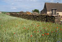 Dateiname=Mecklenburg-Vorpommern-Fs-Neuhof-20080606-99.jpg
Dateigröße=362KB
Abmessungen: 880x591
hinzugefügt am: 02. Januar 2016 Mecklenburg-Vorpommern-Fs-Neuhof-20080606-99.jpg