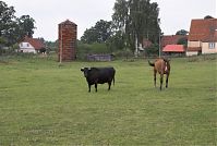 Mecklenburg-Vorpommern-Fs-Neuhof-20080806-42.jpg