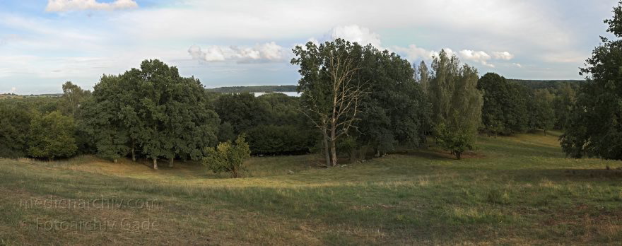 Feldberger Seenlandschaft. Hauptmannsberg bei Carwitz.
7. 9. 2008. Mecklenburg-Vorpommern. Feldberger Seenlandschaft. Landschaft auf dem Hauptmannsberg bei Carwitz. (Panorama aus mehreren Teilbildern)
Schlüsselwörter: Carwitz;Deutschland;Feldberger;Feldberger Seenlandschaft;Germany;Hauptmannsberg;Mecklenburg-Vorpommern;Seenlandschaft;2008;Wald