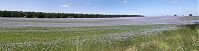 Dateiname=Mecklenburg-Vorpommern-Fs-20100627-10-p.jpg
Dateigröße=133KB
Abmessungen: 880x225
hinzugefügt am: 02. Januar 2016 Mecklenburg-Vorpommern-Fs-20100627-10-p.jpg