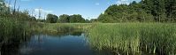 Dateiname=Mecklenburg-Vorpommern-Fs-Carwitz-20100707-149p.jpg
Dateigröße=149KB
Abmessungen: 880x273
hinzugefügt am: 02. Januar 2016 Mecklenburg-Vorpommern-Fs-Carwitz-20100707-149p.jpg