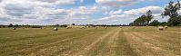 Dateiname=Mecklenburg-Vorpommern-Fs-Heu-20050620-36p.jpg
Dateigröße=126KB
Abmessungen: 880x273
hinzugefügt am: 02. Januar 2016 Mecklenburg-Vorpommern-Fs-Heu-20050620-36p.jpg