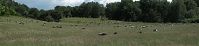 Dateiname=Mecklenburg-Vorpommern-Fs-Hullerbusch-20090611-029p.jpg
Dateigröße=88KB
Abmessungen: 880x205
hinzugefügt am: 02. Januar 2016 Mecklenburg-Vorpommern-Fs-Hullerbusch-20090611-029p.jpg