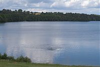 Mecklenburg-Vorpommern-Fs-Schmaler-Luzin-20070626-214.jpg