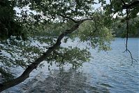 Mecklenburg-Vorpommern-Fs-Schmaler-Luzin-20090610-045.jpg