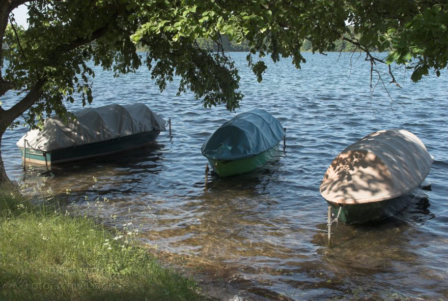 Feldberger Seenlandschaft. Carwitz
4. Juni 2008. Mecklenburg-Vorpommern. Brandenburg. Feldberger Seenlandschaft. Campingplatz Thomsdorf. Boote.
Schlüsselwörter: Brandenburg;Campingplatz;Deutschland;Dreetzsee;Feldberger Seenlandschaft;Germany;Mecklenburg-Vorpommern;2008;Thomsdorf