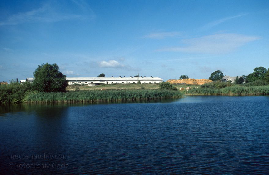 Auf dem Wasser von Röbel nach Rheinsberg
30. 8. 1994. Mecklenburg-Vorpommern. Mecklenburger Seenplatte. Müritzsee.  (Dampferfahrt von Röbel nach Rheinsberg.)
Schlüsselwörter: Dampferfahrt;Deutschland;Germany;Mecklenburg-Vorpommern;Mecklenburg-Western Pomerania;Meckpom;Meckpomm;Mekelnborg-Vörpommern;Müritz;Schiff;1994;See