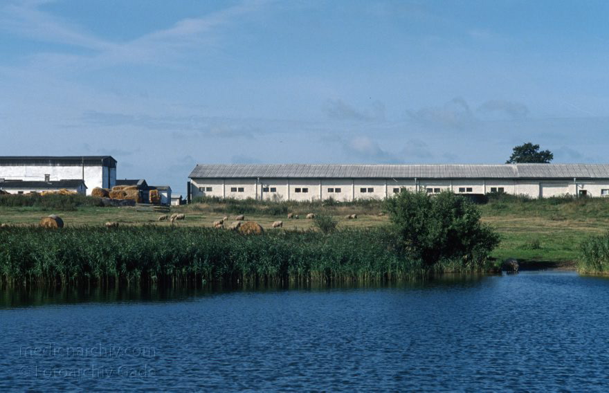 Auf dem Wasser von Röbel nach Rheinsberg
30. 8. 1994. Mecklenburg-Vorpommern. Mecklenburger Seenplatte. Müritzsee.  (Dampferfahrt von Röbel nach Rheinsberg.)
Schlüsselwörter: Dampferfahrt;Deutschland;Germany;Mecklenburg-Vorpommern;Mecklenburg-Western Pomerania;Meckpom;Meckpomm;Mekelnborg-Vörpommern;Müritz;Schiff;1994;See