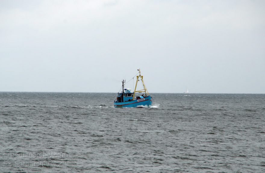 Insel Rügen. Fischerboote auf dem Meer vor Sassnitz. Ostsee. Möwe
28. 9. 2009. Mecklenburg-Vorpommern. Insel Rügen. Fischerboote auf dem Meer vor Sassnitz. Schiffahrt. Schifffahrt. Die Möwe fährt mit Touristen zu den Kreidefelsen.
Schlüsselwörter: Baltic Sea;Boote;Deutschland;Fischerboote;Germany;Insel;Mecklenburg-Vorpommern;Mecklenburg-Western Pomerania;Meckpom;Meckpomm;Meer;Mekelnborg-Vörpommern;Ostsee;Rügen;Sassnitz;2009;Schiffe