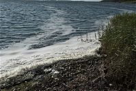 Dateiname=Mecklenburg-Vorpommern-Ruegen-JasmBodden-20090926-144.jpg
Dateigröße=297KB
Abmessungen: 880x587
hinzugefügt am: 02. Januar 2016 Mecklenburg-Vorpommern-Ruegen-JasmBodden-20090926-144.jpg