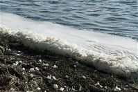 Dateiname=Mecklenburg-Vorpommern-Ruegen-Jasmunder-Bodden-20090926-145.jpg
Dateigröße=231KB
Abmessungen: 880x587
hinzugefügt am: 02. Januar 2016 Mecklenburg-Vorpommern-Ruegen-Jasmunder-Bodden-20090926-145.jpg