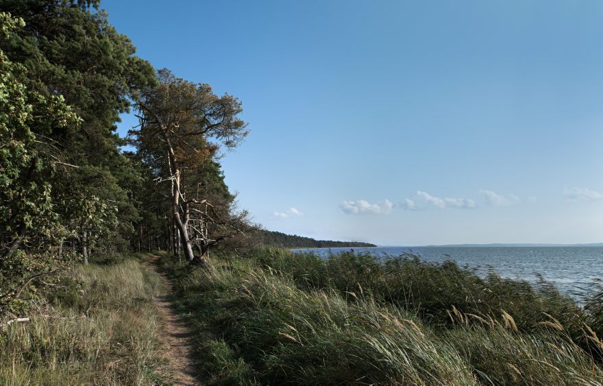 Insel Rügen. Jasmunder Bodden
26. 9. 2009. Mecklenburg-Vorpommern. Insel Rügen. Am Jasmunder Bodden. Wald. Bäume. Schilf. (Aus mehreren Einzelbildern erstellt.)
Schlüsselwörter: Baltic Sea;Deutschland;Germany;Insel;Jasmunder Bodden;Mecklenburg-Vorpommern;Mecklenburg-Western Pomerania;Meckpom;Meckpomm;Meer;Mekelnborg-Vörpommern;Ostsee;2009;Rügen