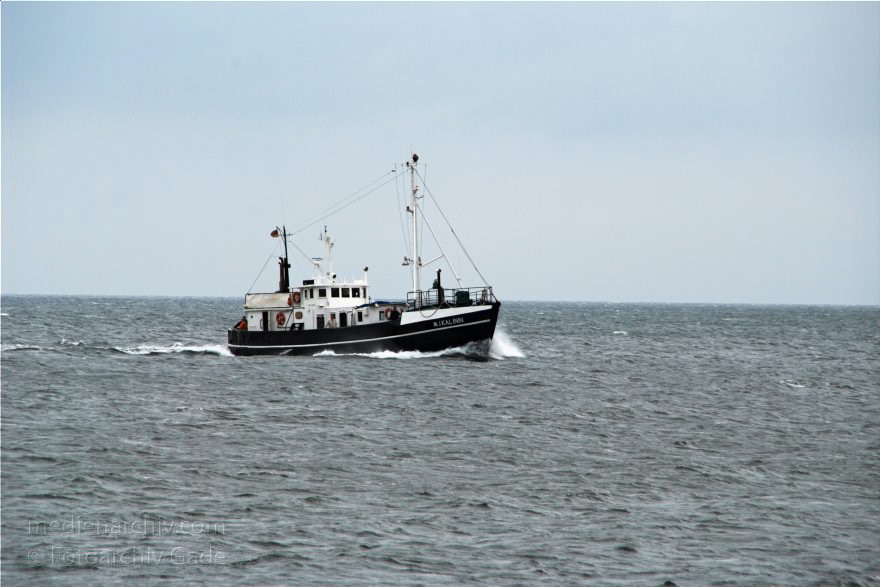 Insel Rügen. Fischerboote auf dem Meer vor Sassnitz. Ostsee.
28. 9. 2009. Mecklenburg-Vorpommern. Insel Rügen. Fischerboote auf dem Meer vor Sassnitz. Schiffahrt. Schifffahrt.
Schlüsselwörter: Baltic Sea;Boote;Deutschland;Fischerboote;Germany;Insel;Mecklenburg-Vorpommern;Mecklenburg-Western Pomerania;Meckpom;Meckpomm;Meer;Mekelnborg-Vörpommern;Ostsee;Rügen;Sassnitz;2009;Schiffe