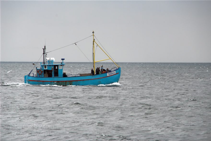 Insel Rügen. Fischerboote auf dem Meer vor Sassnitz. Ostsee. Möwe
28. 9. 2009. Mecklenburg-Vorpommern. Insel Rügen. Fischerboote auf dem Meer vor Sassnitz. Schiffahrt. Schifffahrt. Die Möwe fährt mit Touristen zu den Kreidefelsen.
Schlüsselwörter: Baltic Sea;Boote;Deutschland;Fischerboote;Germany;Insel;Mecklenburg-Vorpommern;Mecklenburg-Western Pomerania;Meckpom;Meckpomm;Meer;Mekelnborg-Vörpommern;Ostsee;Rügen;Sassnitz;2009;Schiffe