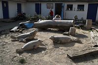 Dateiname=Mecklenburg-Vorpommern-Ruegen-Arkona-20090926-078.jpg
Dateigröße=261KB
Abmessungen: 880x587
hinzugefügt am: 02. Januar 2016 Mecklenburg-Vorpommern-Ruegen-Arkona-20090926-078.jpg