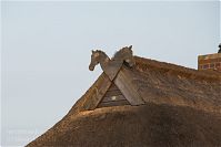 Mecklenburg-Vorpommern-Ruegen-Hagen-20090926-316.jpg