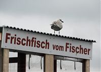 Mecklenburg-Vorpommern-Ruegen-Sassnitz-20090928-038.jpg