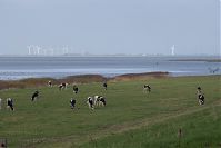 Dateiname=Niedersachsen-Elbe-20141108-17.jpg
Dateigröße=122KB
Abmessungen: 880x586
hinzugefügt am: 02. Januar 2016 Niedersachsen-Elbe-20141108-17.jpg