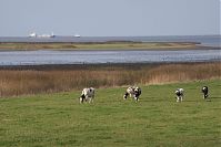 Niedersachsen-Elbe-20141108-19.jpg