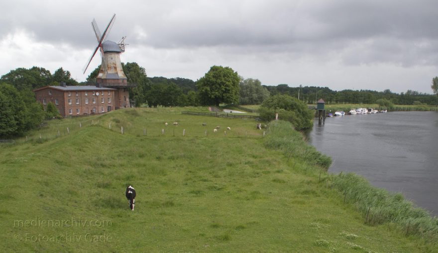Niedersachsen. Hechthausen. Kühe auf der Weide. Deich. Rinder
2013. Niedersachsen. Hechthausen. Rinder auf dem Deich am Fluss Oste. Kuh. Kühe
Schlüsselwörter: Deich;Fluss;Hechthausen;Mühle;Niedersachsen;Oste;Rinder;Weide;2013;Windmühle