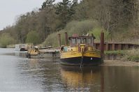 Niedersachsen-Hechthausen-20130502-149.jpg