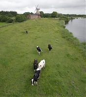 Niedersachsen-Hechthausen-20130624-060.jpg