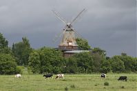Niedersachsen-Hechthausen-20130624-062.jpg